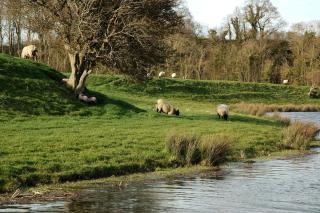 Beautiful Sussex Coastal Holiday Home - 4