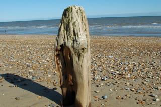 Beautiful Sussex Coastal Holiday Home - 1