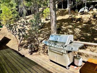Wishon Cabin - Boat Slip - BBQ, Sleeps 14, Dogs Ok - 1