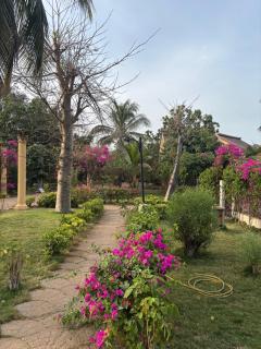 Saly maison en résidence - 4