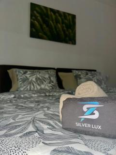 Prenoćište SILVER LUX Srebrno Jezero - 8