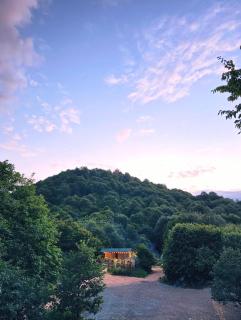 Mets Hayq Forest Retreat - 3