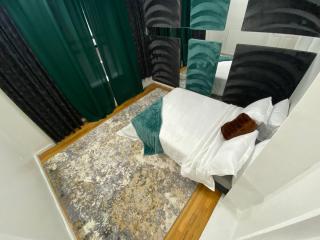 Amazing Private Home Across Time Square NYC - 1