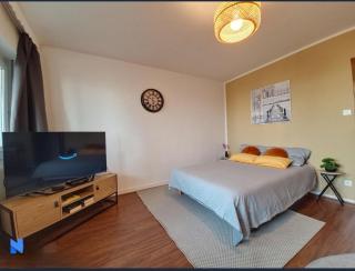 Appartement - Strasbourg - tram - Parking gratuit - Institutions européennes - 8