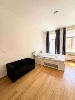 Studio apartment in Viktoria Zizkov - 9