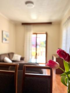 Apartments MUN Petrovac - 6