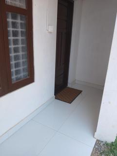 Dolphin beach - 4