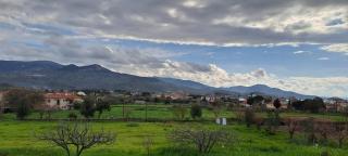 Calm And Nature - 0