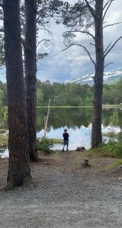 Holiday apartment 6 people, Oppdal alpine tunnel - 2