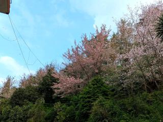 Chamling Retreat Ramdhura - 6