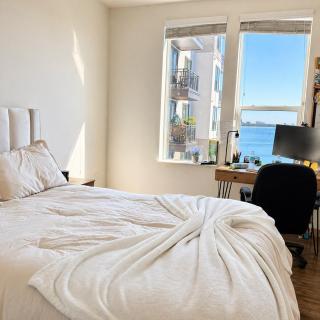 Waterfront luxury place 10 min from Tampa downtown - 3