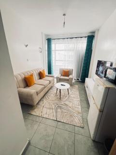 Stylish 1Bedroom apartment behind Thika Road Mall - 5