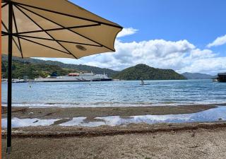 Waterfront Retreat on the foreshore of Queen Charlotte Sound - 8