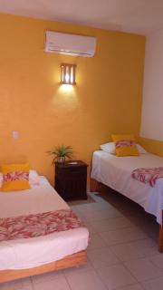 Teocalli Hostel - 5
