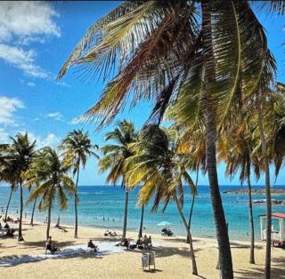 Star of the Olympus 2b One Bedroom Suite at Miramar Puerto Rico near beaches and Convention Center - 5