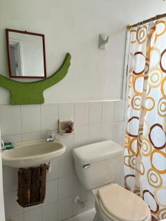 Charming Holiday House Room in Jardn Colombia - 6