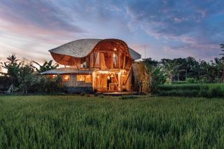 Luxury Sawah Bamboo House - Kosay Bali - 0