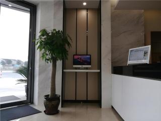 City Comfort Inn Shanghai International Tourism Resort Disney - 6