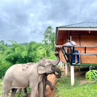 Hill Tribes Eco Lodges and Elephant Sanctuary - 5