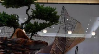 GreenTree Inn Express Datong High-Speed Railway Station Old City Wall - 4