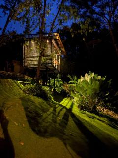 Heliconia Ledge - 5