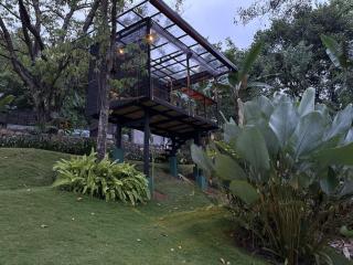 Heliconia Ledge - 8
