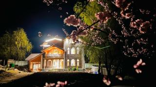 The Forest Castle Resort - 5
