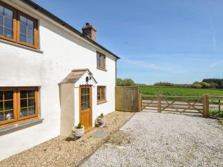 Little Blagdon - 9