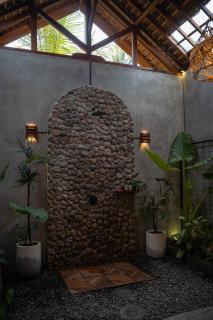 The Salty Jungle - 5