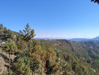 Satya's Kasar - 2
