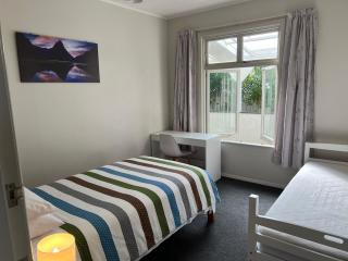 Central Spacious House With Backyard And Patio - Palmerston North - 3