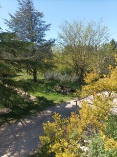 Chambre chez l'habitant les garrigues - 1