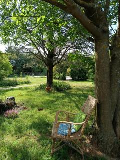 Chambre chez l'habitant les garrigues - 7