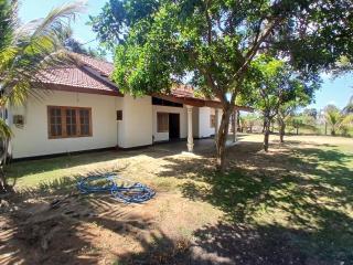 The Palmyrah garden and Resort - 6