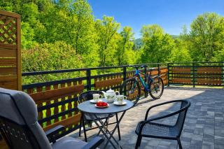 Willa Sowia nowy apartament z prywatnym tarasem i widokiem na góry - 9