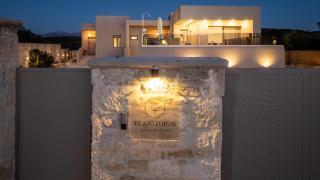 Elaiotopos Luxury Living Suites - 7