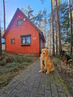 Domek w lesie przy jeziorze Kamień - 8