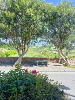 Tuscany Life - 7