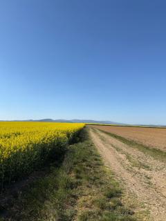 Motorest Farmárik - Topoľčany - 7