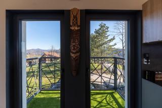 Vila sa dvoristem i rostiljem-Zlatibor - 1