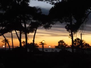 Hotel Terme Marine Leopoldo II TERME & SPA - Marina di Grosseto - 6