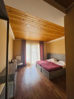 Anne's Hotel in Mestia - 1