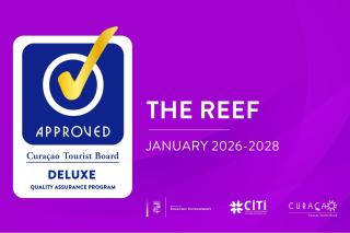 Florijn 7 - Ocean View Penthouse at The Reef - 9