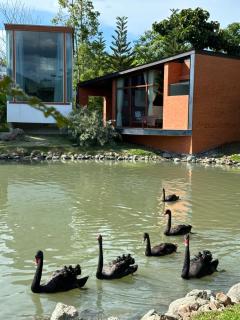 Villa At On Organic Farm - 9