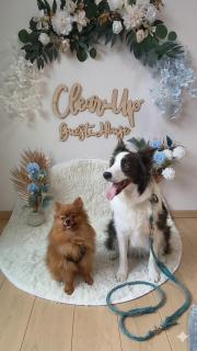 ペット可 Clear Up Guest House - 0