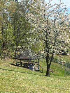 Apartamenty Słoneczne Wzgórze - 1