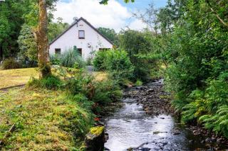 Bluebell Cottage - 8