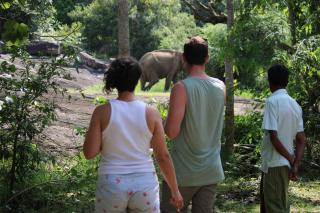 Yala Mobile Camping-Inside the National Park - 6