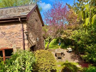 Garden Cottage Wiveliscombe - 9