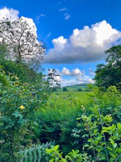 Greystones Cottage - 2-Bed Character Cottage, Access to Cotswold Way! - 6